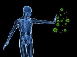 strengthening your immune system